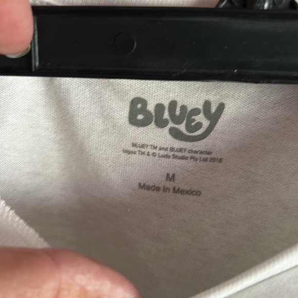 Bluey - Picture 2 of 5